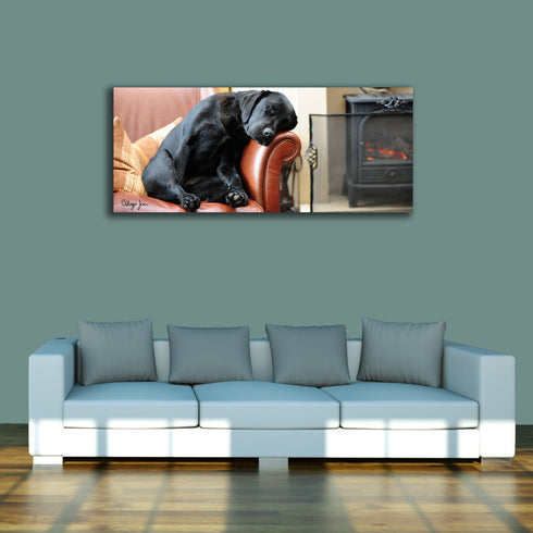 PANORAMIC - AFTER THE WALK - 1.2m x 50cm